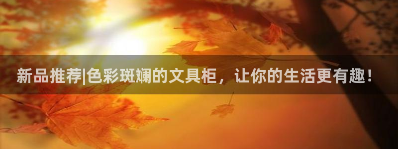 龙八国际更新：新品推荐|色彩斑斓的文具柜