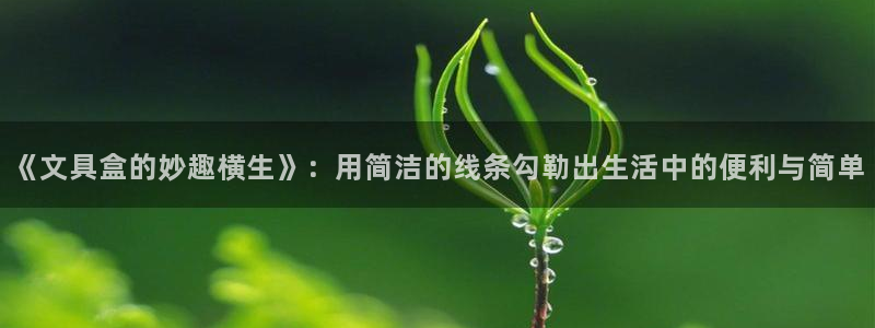 龙八国际手机登录首页：《文具盒的妙趣横生
