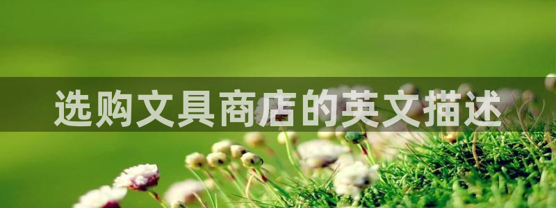 龙八国际app官网