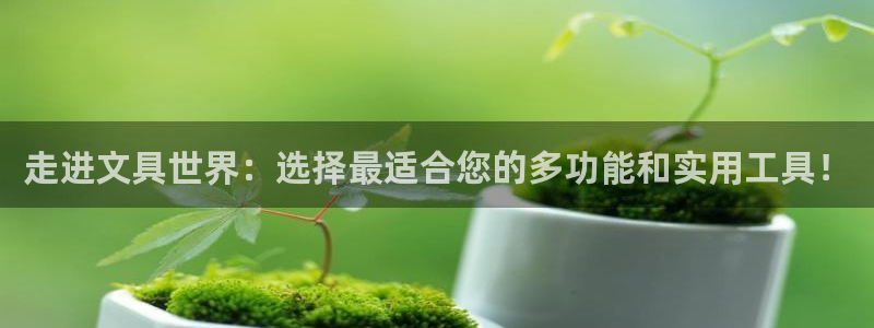 龙八国际版游戏：走进文具世界：选择最适合