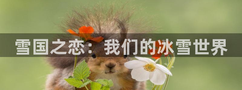 龙八国际app联系方式：雪国之恋：我们的