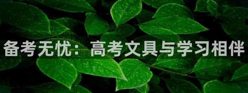 龙八国际是什么：备考无忧：高考文具与学习