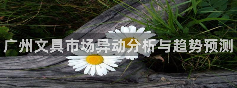 龙八国际网页版本：广州文具市场异动分析与