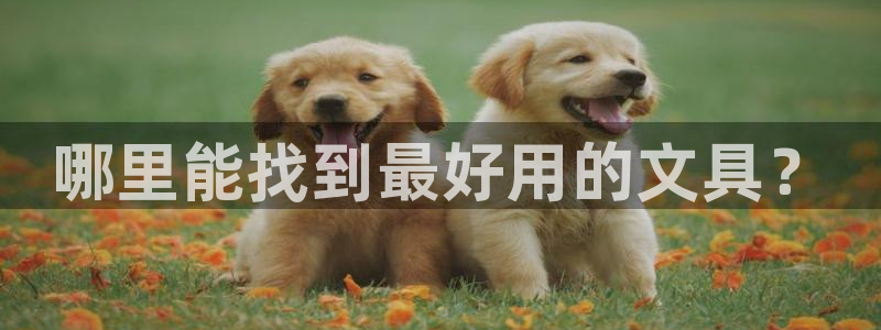 龙八国际app怎么下载：哪里能找到最好用