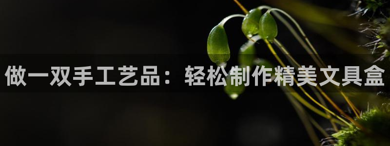 龙八国际官网网址：做一双手工艺品：轻松制