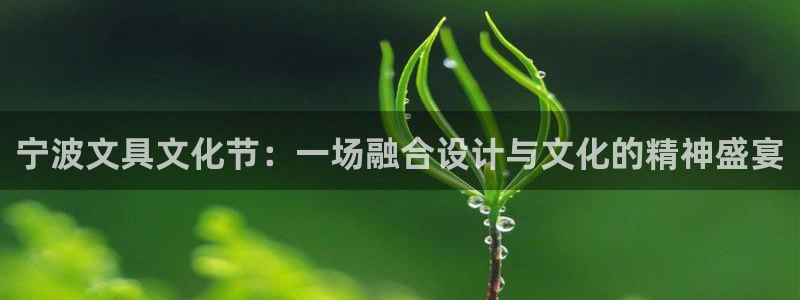 龙八国际体育：宁波文具文化节：一场融合设
