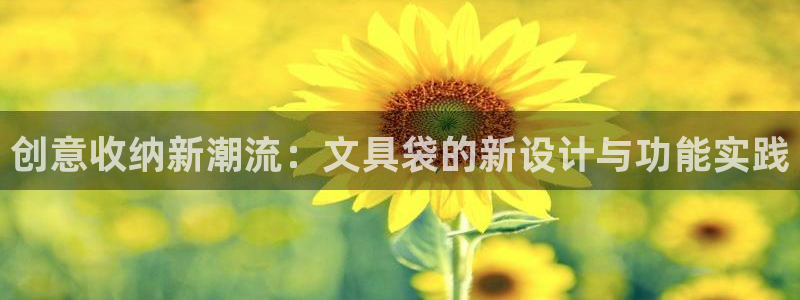 龙八国际手游：创意收纳新潮流：文具袋的新