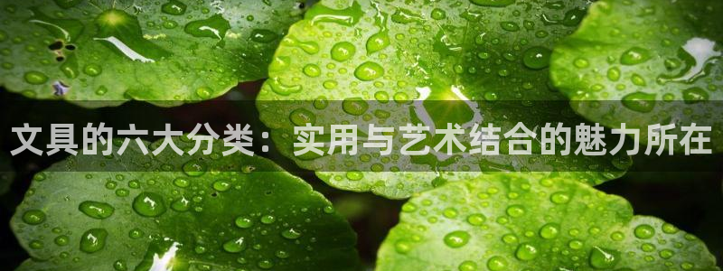 龙八国际官网：文具的六大分类：实用与艺术