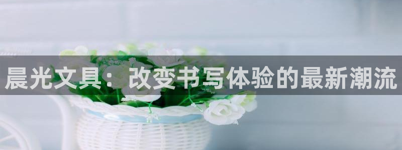 龙八国际不支持苹果手机：晨光文具：改变书