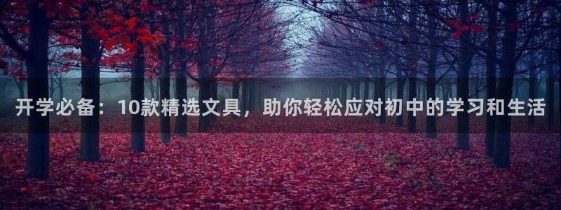 龙八国际平台可靠吗：开学必备：10款精选