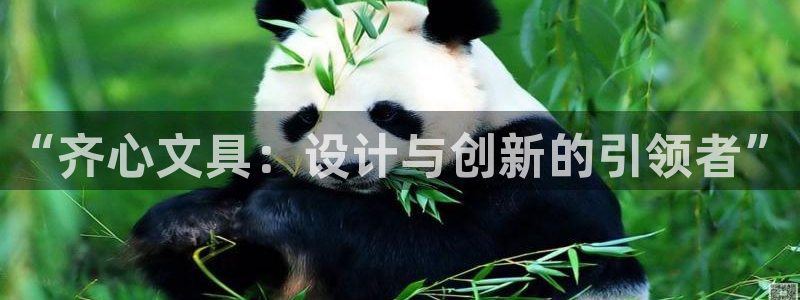 龙八国际 我的：“齐心文具：设计与创新的