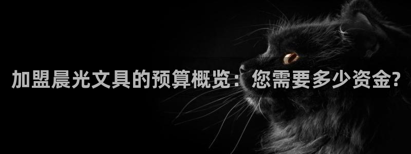 龙八国际网址视讯平台：加盟晨光文具的预算