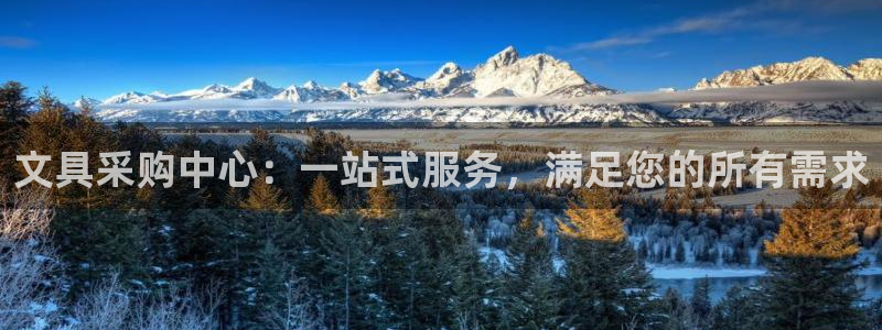 龙八国际app客户端下载手机版：文具采购