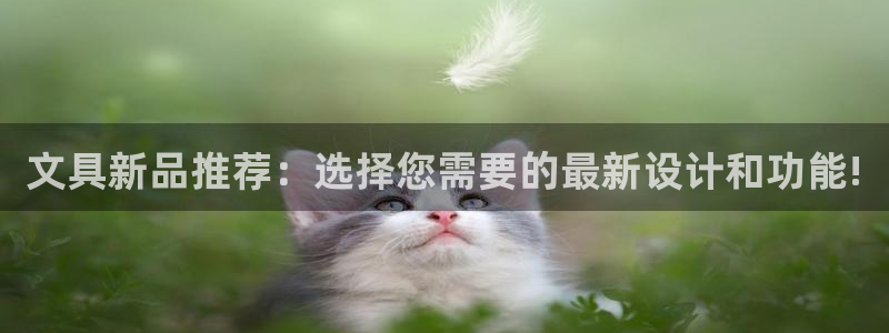 龙八国际官方登录：文具新品推荐：选择您需