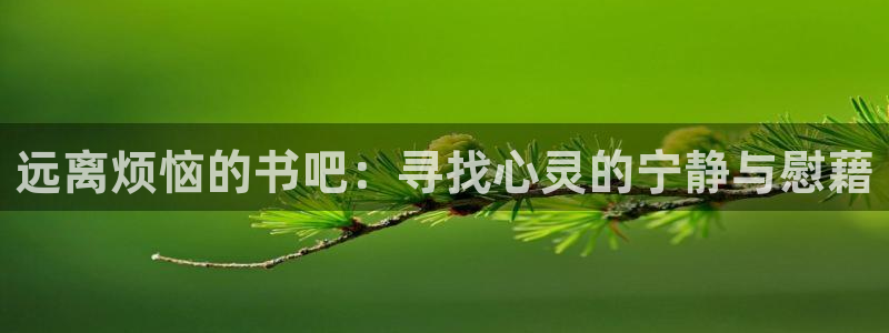 龙八国际手机版下载安卓