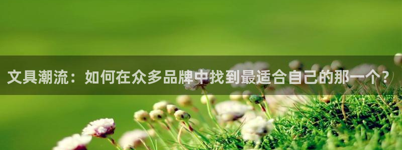 龙八国际娱乐正版：文具潮流：如何在众多品