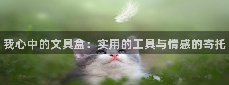 龙八国际mG：我心中的文具盒：实用的工具