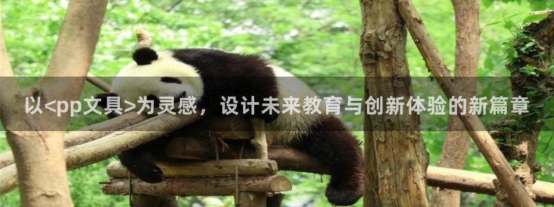 龙八国际官网客户服务：以<pp文具>为灵