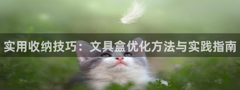 龙八国际服官网站：实用收纳技巧：文具盒优