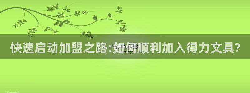 龙八国际登录网：快速启动加盟之路:如何顺