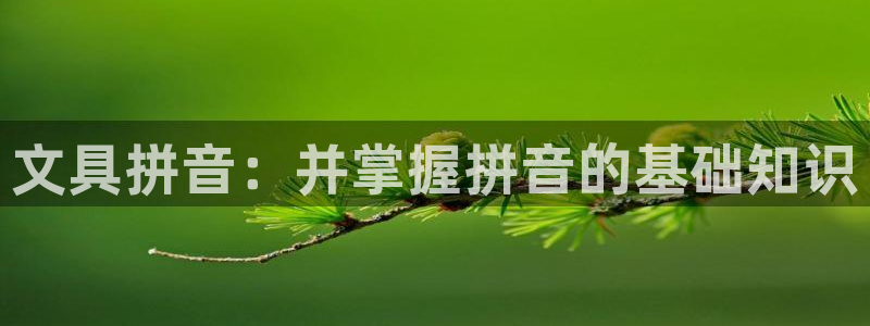 龙八国际pt客户端：文具拼音：并掌握拼音