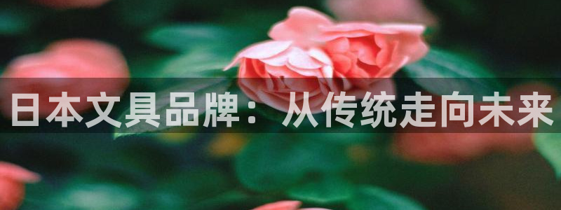 龙八国际娱乐官网注册：日本文具品牌：从传