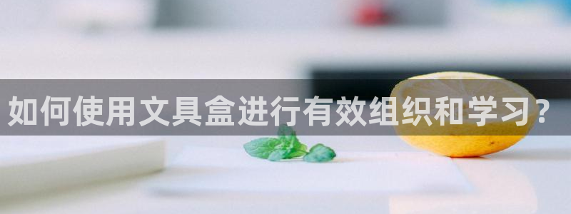 龙八国际网页登陆：如何使用文具盒进行有效