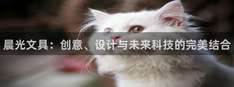 龙八国际怎么注册下载：晨光文具：创意、设