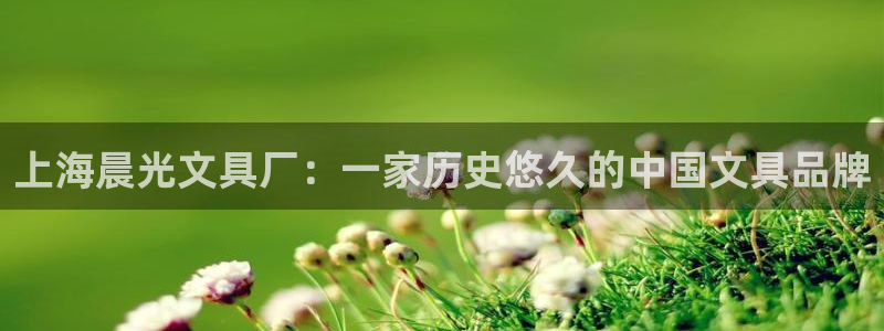 苹果怎么下载龙八国际：上海晨光文具厂：一