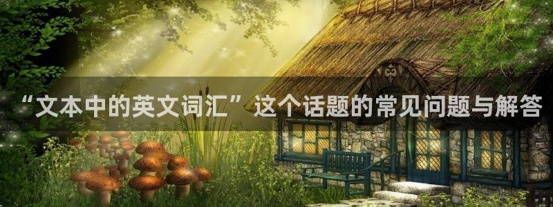 龙八国际娱乐官网多少：“文本中的英文词汇