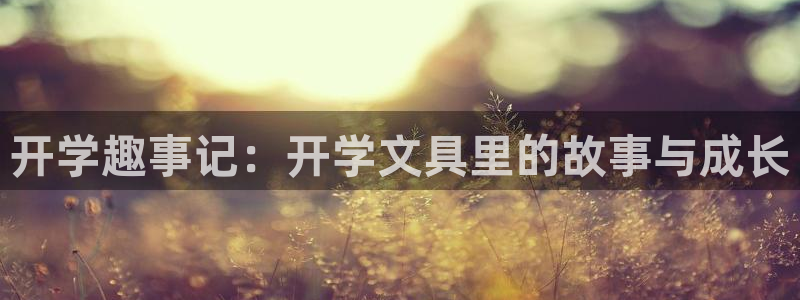 龙八国际下载安装彩：开学趣事记：开学文具