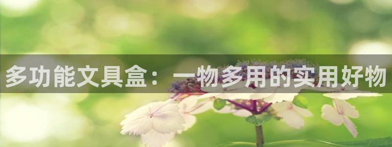 龙八国际游戏娱乐：多功能文具盒：一物多用