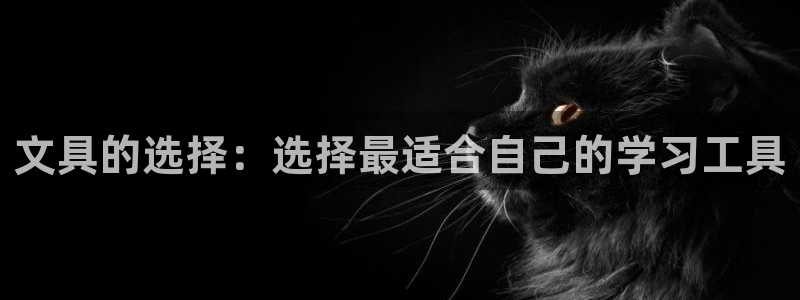 龙八国际下载安装彩：文具的选择：选择最适