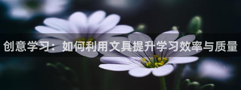 龙八国际官网安卓：创意学习：如何利用文具