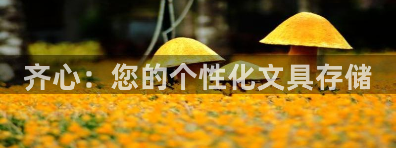 菲律宾龙八国际杀猪：齐心：您的个性化文具