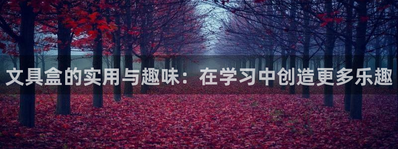 龙八国际app电话号码：文具盒的实用与趣