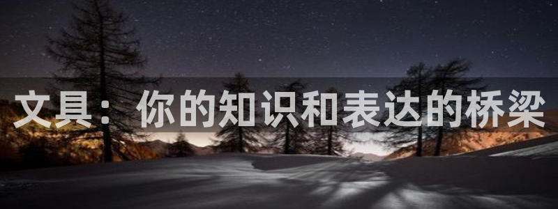 龙八国际官网手机版登陆：文具：你的知识和