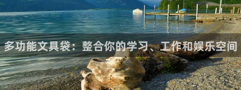 龙八国际娱乐二维码：多功能文具袋：整合你