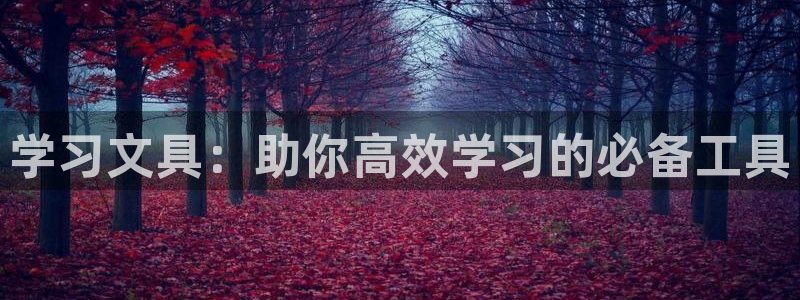 龙八国际手机版下载安装：学习文具：助你高