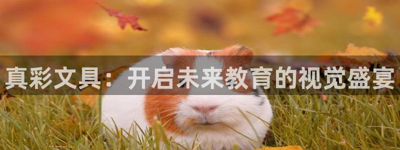 龙八国际服官网入口地址：真彩文具：开启未