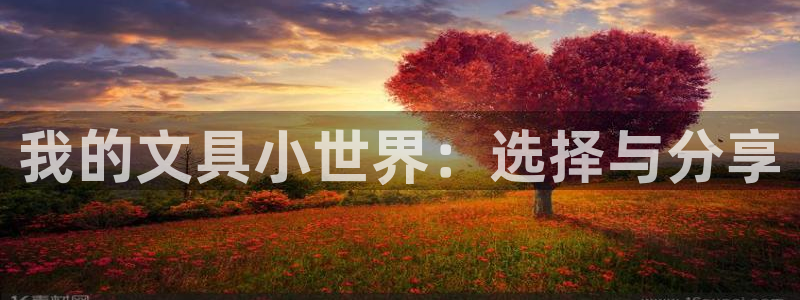 龙八国际官方网：我的文具小世界：选择与分