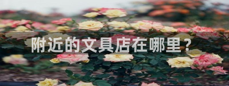 龙八国际下载全部收藏pity：附近的文具