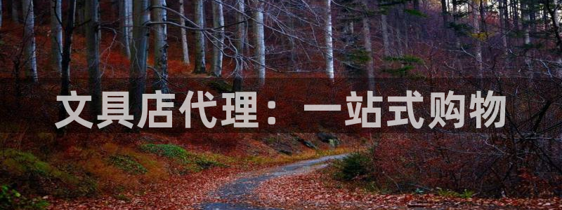 龙八国际服官网站：文具店代理：一站式购物