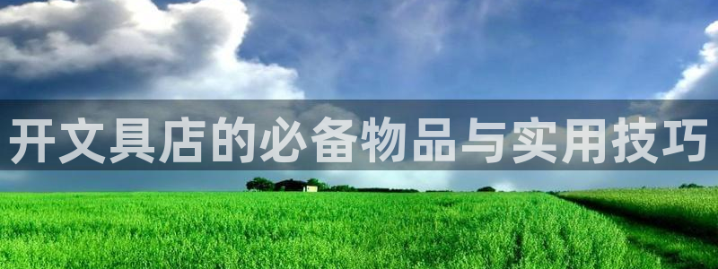 龙八国际娱乐：开文具店的必备物品与实用技