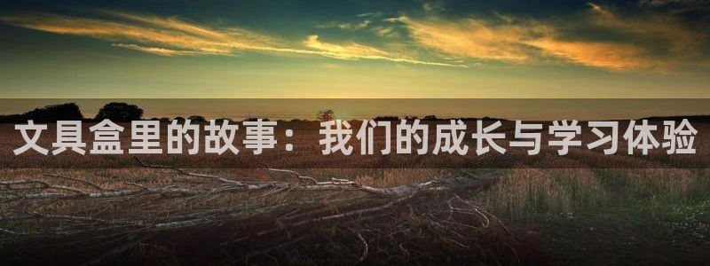 龙八国际平台首页：文具盒里的故事：我们的