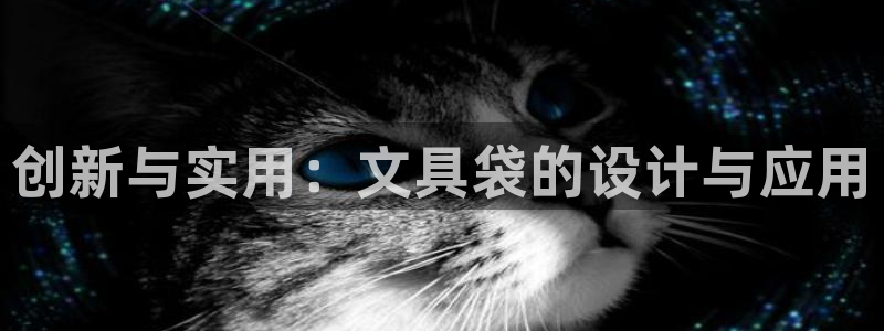 龙八国际免费下载：创新与实用：文具袋的设