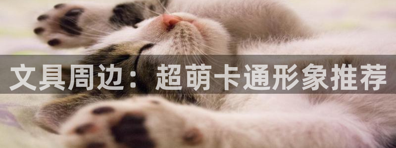 龙八国际登录注册：文具周边：超萌卡通形象