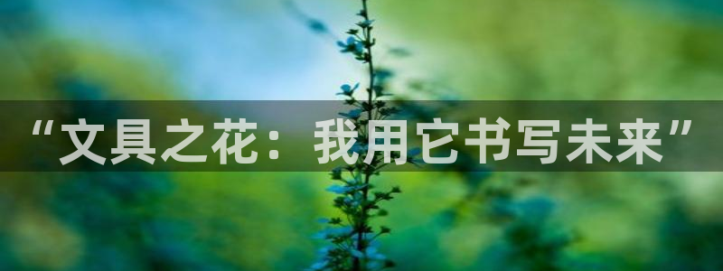 龙八国际怎么注册app：“文具之花：我用