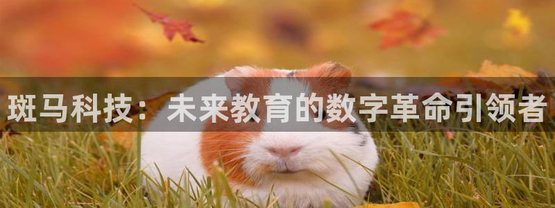 龙八国际下载安装：斑马科技：未来教育的数