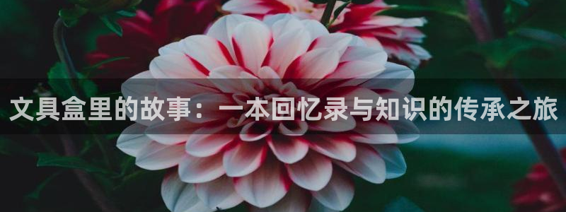 龙八国际app客户下载：文具盒里的故事：